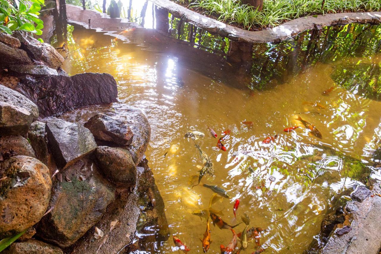 Hotel Alemao Beach De Ilhabela Eksteriør bilde